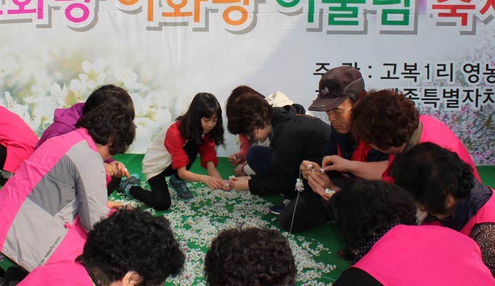 세종시, ‘도화랑 이화랑 어울림축제’ 2년 연속 농촌축제 선정