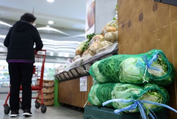 김장철 '금배추' 부담 덜어…한포기 6천원→3천원 하락