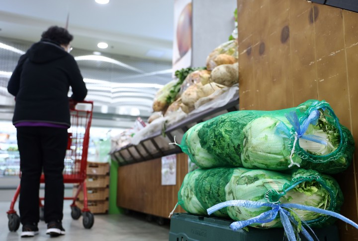 김장철 '금배추' 부담 덜어…한포기 6천원→3천원 하락