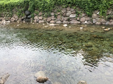 순천소방서 저전119안전센터에서 알려드리는 “여름철 물놀이 안전수칙”