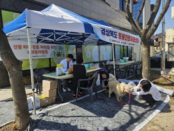 경북도, 산불피해동물 구조와 치료활동 민간과 새로운 협력 사례 구축