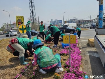 대소면 새마을회, 꽃잔디 식재 및 환경정화 봉사 펼쳐