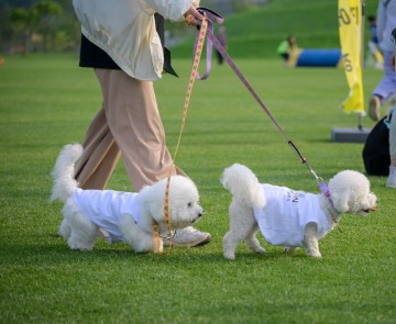 순천시, 동물등록비용·길고양이 중성화 지원…동물복지 도시 구현  