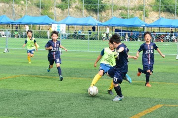 영주소백산컵 하계클럽 유소년 축구 페스티벌 개최