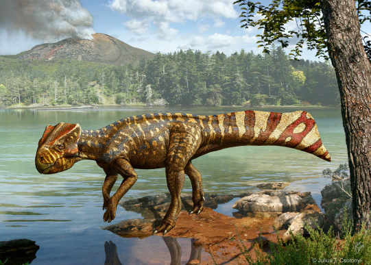 화성 뿔공룡골격 화석 천연기념물 지정