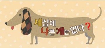 [독자기고]세상에 나쁜 개는 없다?. 개에 물렸을 때 대처법