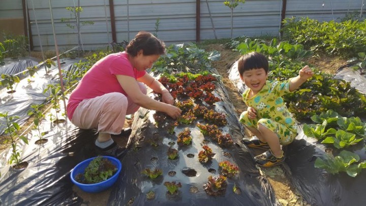 제7회 유기농텃밭 스마트폰 사진콘테스트 개최