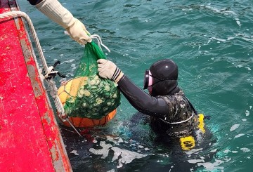 여수시, 지속 가능한 수산업 위한 돌돔·전복 등 어패류 방류