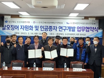 ‘금(金)징어’종자생산 착수,‘국민생선’귀환 기대!