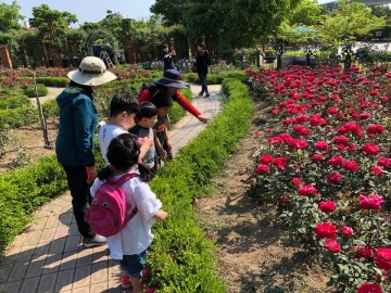 대전시교육청, 숲 체험 프로그램 및 특별활동 실시