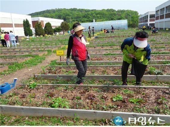  “텃밭상추를 키워 주간보호어르신들께 나눠드려요”