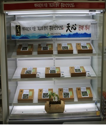 봉화산양삼【천심】브랜드로 산림조합의 새로운 유통체계에 의한 판매 개시