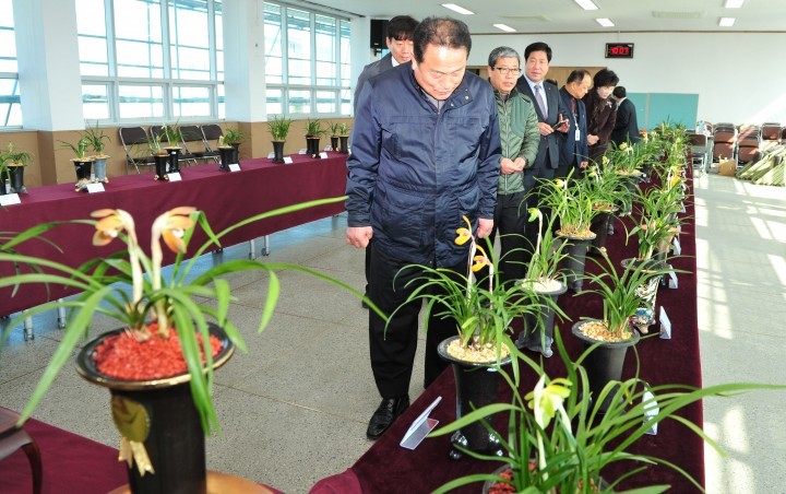  군위난우회 2016년 한국춘란전시회 개최