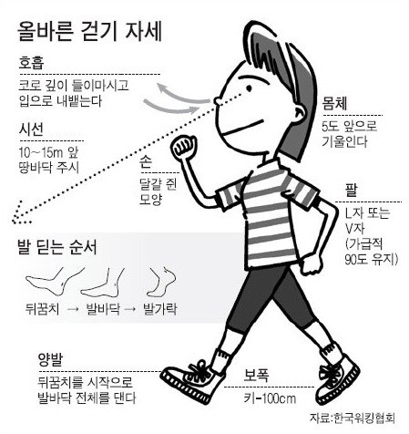 『 생활 속 실천하는 걷기 운동!! 건강지킴이의 첫 걸음!!』