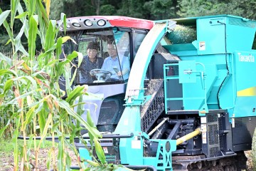 군위군, 한우농가 경쟁력 확보 및 경축순환농업 실천을 위한 하계 조사료(옥수수) 수확 시연회 개최
