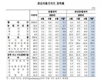 7월 생산자물가 0.3%↑…농산물 가격 뛰자 넉 달 만에 반등
