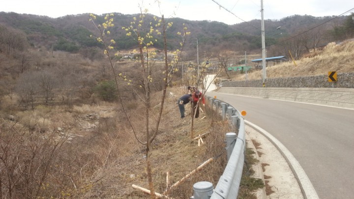 산청군 금서면, 주민참여형 ‘녹색산청’ 만들기에 구슬땀