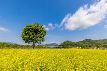 남한강 물길 따라 흐르는 ‘중원의 혼’... 충주 목계별신제 5월 2일 개막