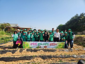 대소읍 새마을회, 흙바람 뚫고 ‘사랑의 고구마’ 모종 심었다
