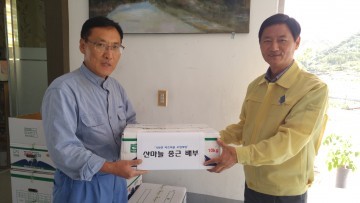 가북면, 산마늘 공급으로 약초마을 조성 박차
