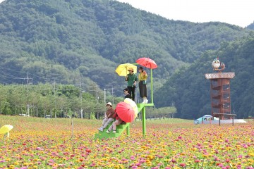 청송정원에서 멋진 사진 찍어보세요!