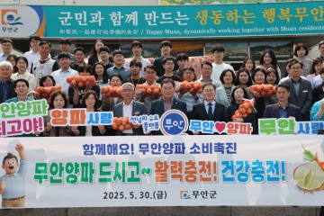 무안군, 양파 가격 하락 극복 위해 전 직원 나서 