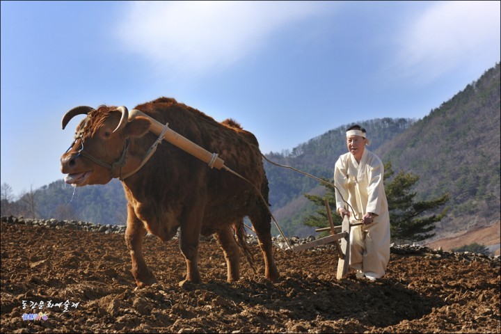 동강문화예술제