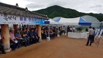 김천시, 신품종 포도 흑보석 평가회 개최
