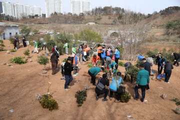 광양시, 제80회 식목일 기념 나무심기 행사 개최 