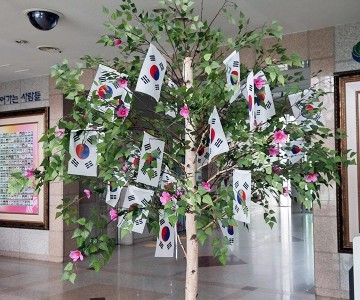 대전 서구, 나라 사랑 태극기 달기 운동 추진