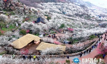 내년 광양매화축제는 시민의 아이디어로 만든다 