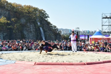 청송군, 청송사과축제와 연계한  다양한 스포츠행사 개최