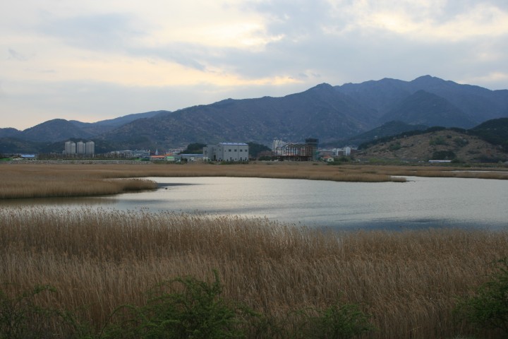남해군 생태계의 보고! 강진만 체험관광 실시