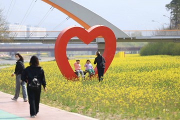 화순군, '화순 봄꽃 축제' 안전·교통·주차 관리에 총력  