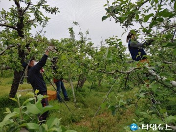 무공봉사회, 참전유공자 농가에 생산적 봉사활동 실시