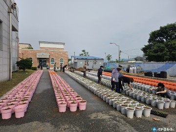 충주시 대소원면, 제22회 봉숭아꽃잔치 준비 한창