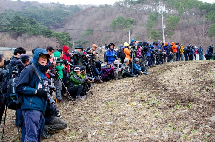 동강문화예술제