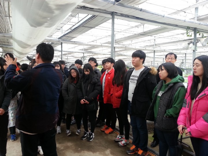 우리는 한류를 이끄는 신토불이 셰프