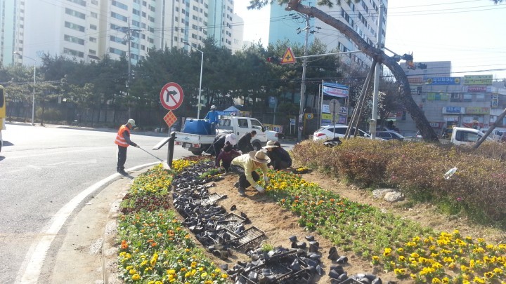 밀양시 상남면, 아름다운“봄꽃”식재