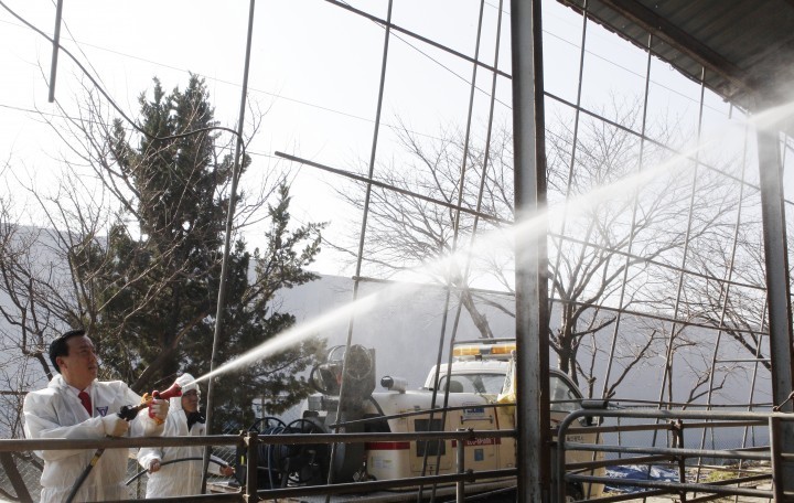 북구 지난해 조류인플루엔자‧구제역 청정지역