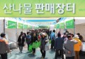 "봄의 전설, 산나물의 향연"… 제21회 영양 산나물축제 내달 7일 개막