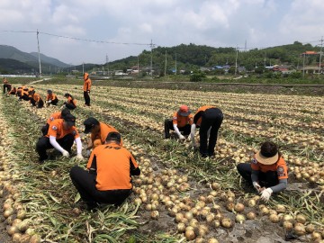장성소방서, 봄철 농촌일손돕기 "구슬땀"