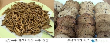 충북 대표할 곤충관련 단체 육성 지원