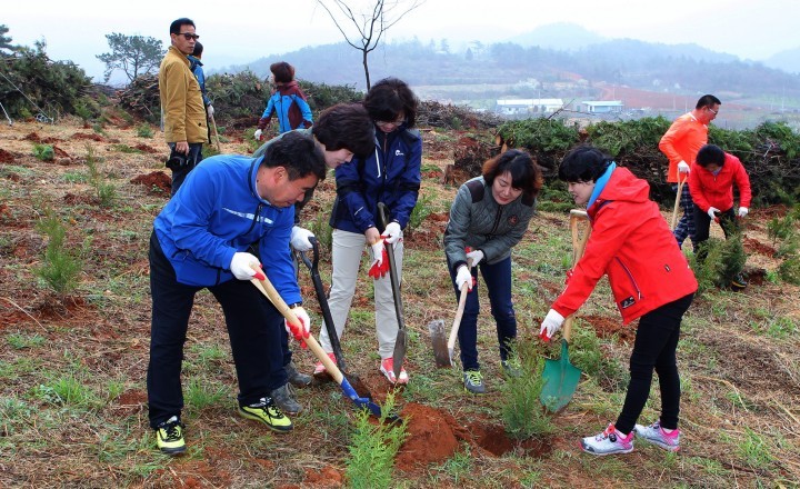 나무심기 운동 대대적으로 펼쳐 80만본 식재