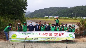 하빈면 새마을단체, 「사랑의 모내기 봉사활동」으로 이웃사랑 실천