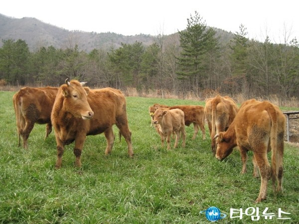 장흥군, 2016년 일반농산어촌개발사업에 선정 