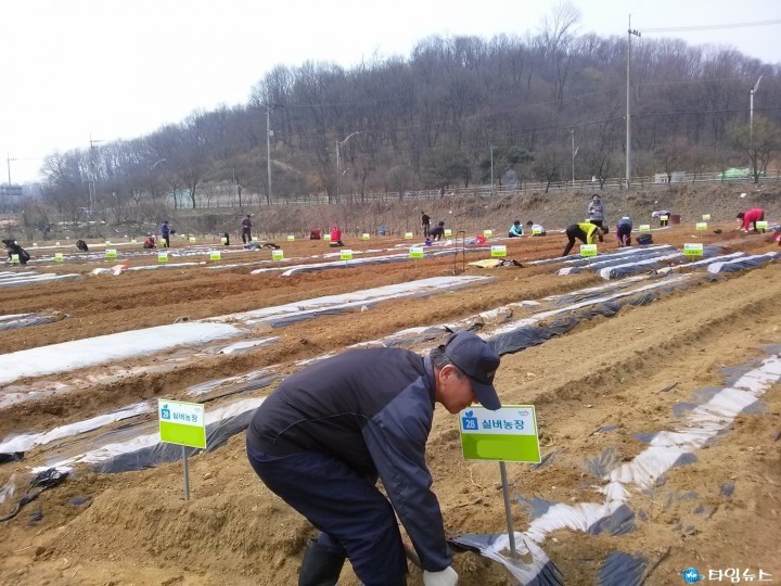 부천시, 시민농장 참여자 모집