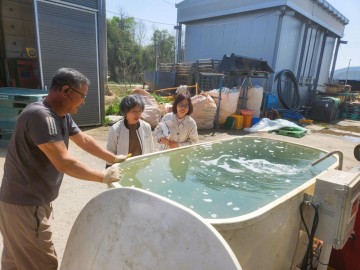 장성군, 들녘별 공동경영 활성화 지원 