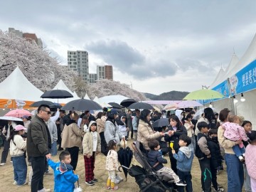 순천시 용당뚝방길 벚꽃축제 수익금 전액 산불 이재민 위해 기탁 