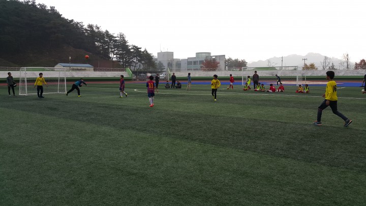 제7회 봉화청년회의소 회장배 청소년 풋살대회 초등부 우승
